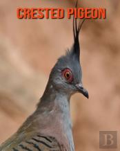 Crested Pigeon