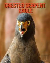 Crested Serpent Eagle