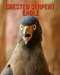 Bertrand.pt - Crested Serpent Eagle