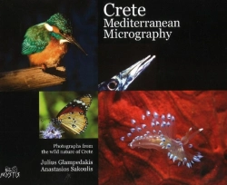 Bertrand.pt - Crete Mediterranean Micrography