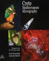 Crete Mediterranean Micrography