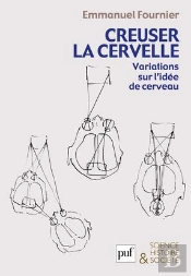 Creuser La Cervelle ; Variations Sur L'Idée De Cerveau