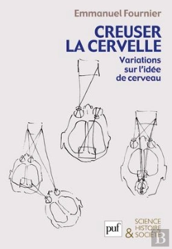 Bertrand.pt - Creuser La Cervelle ; Variations Sur L'Idée De Cerveau
