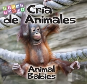 Cria De Animales