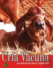 Cría Vacuna, Un Potencial Poco Explorado