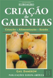 Criação de Galinhas