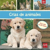 Crías De Animales
