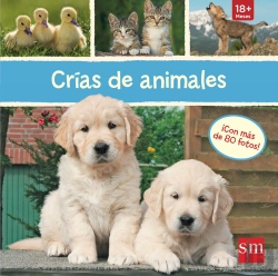 Bertrand.pt - Crías De Animales
