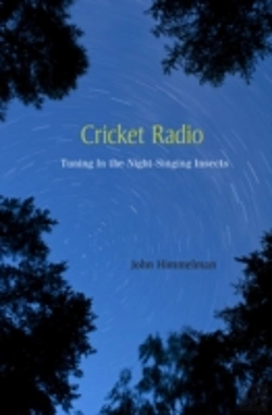 Bertrand.pt - Cricket Radio