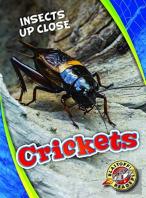 Crickets