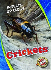 Crickets