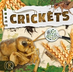 Bertrand.pt - Crickets