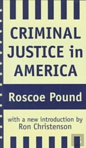 Criminal Justice In America