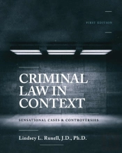 Criminal Law In Context