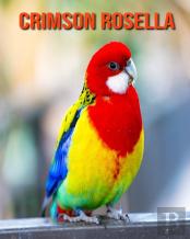 Crimson Rosella