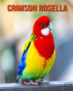 Bertrand.pt - Crimson Rosella