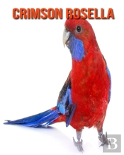 Crimson Rosella
