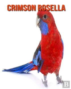 Bertrand.pt - Crimson Rosella