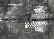 Crisântemo Branco