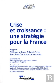 Crise Et Croissance : Une Strategie Pour La France (Cae 100)
