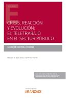 Crisis Reaccion Y Evolucion El Teletrabajo En El Sector Pu