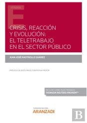 Crisis Reaccion Y Evolucion El Teletrabajo En El Sector Pu