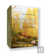 Crisis Y Desaparicion De Caja España (1995-2018). Una Vision Personal