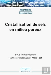 Cristallisation De Sels En Milieu Poreux