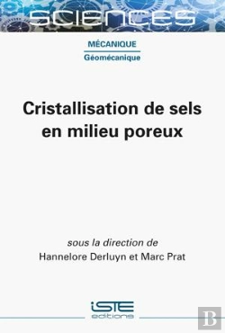 Bertrand.pt - Cristallisation De Sels En Milieu Poreux