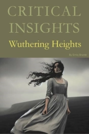 Critical Insights