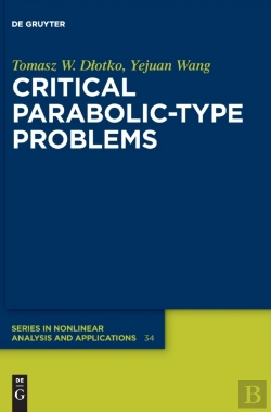 Bertrand.pt - Critical Parabolic-Type Problems