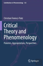 Critical Theory And Phenomenology