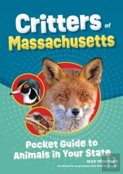 Critters Of Massachusetts