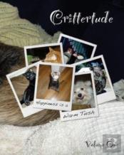 Crittertude