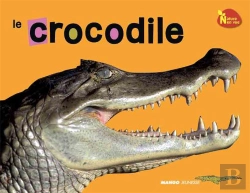 Bertrand.pt - Crocodile