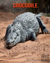 Crocodile