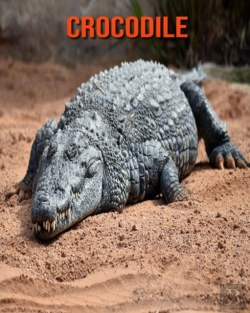 Bertrand.pt - Crocodile
