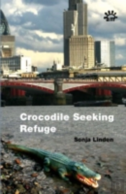 Bertrand.pt - Crocodile Seeking Refuge