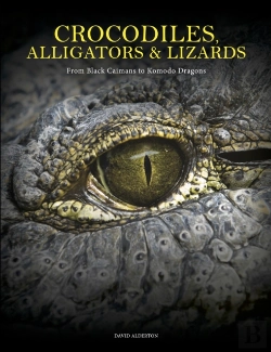Bertrand.pt - Crocodiles, Alligators & Lizards