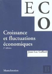 Croissance Et Fluctuations Economiques ; 2e Edition