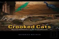 Crooked Cats
