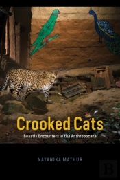 Crooked Cats