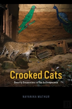 Bertrand.pt - Crooked Cats
