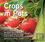 Crops In Pots