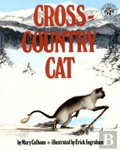 Cross-Country Cat
