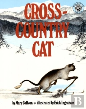 Cross-Country Cat