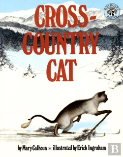 Bertrand.pt - Cross-Country Cat