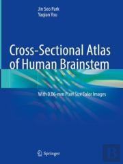 Cross-Sectional Atlas Of Human Brainstem