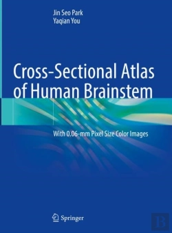 Bertrand.pt - Cross-Sectional Atlas Of Human Brainstem