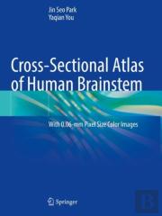 Cross-Sectional Atlas Of Human Brainstem
